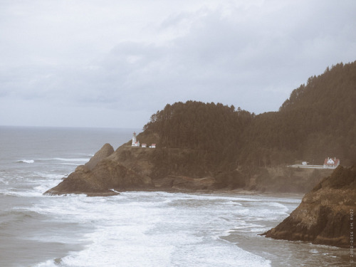 Oregon Coast Highway March 2017Oregon