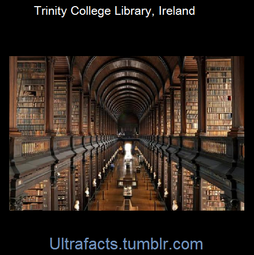 ultrafacts:  Some cool libraries from around adult photos
