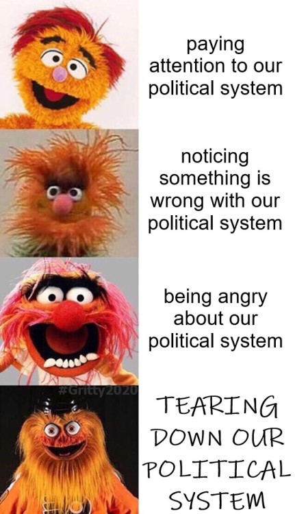 stages of political engagement