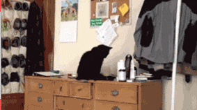 bacathedr:  only——gifs:   Check me blog!  