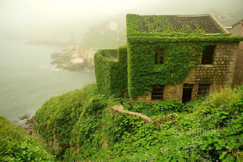 innocenttmaan:  Shengsi, an archipelago of almost 400 islands at the mouth of China’s Yangtze river, holds a secret shrouded in time – an abandoned fishing village being reclaimed by nature. These photos by Tang Yuhong, a creative photographer based