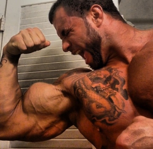 bodybuildermusclecentral:  bodybuildermusclecentral 