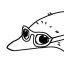 dynomitecentral