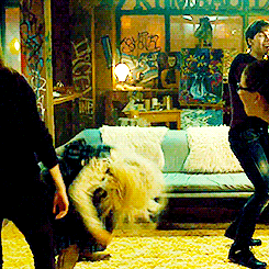 youarebeingridiculous:  When you’re dancing in public  When you’re dancing at home alone in your room                