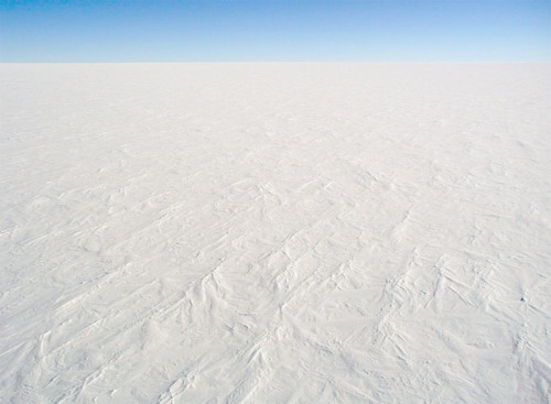 atlasobscura:The Dead Forests of Antarctica  Despite being the most inhospitable place on the plan