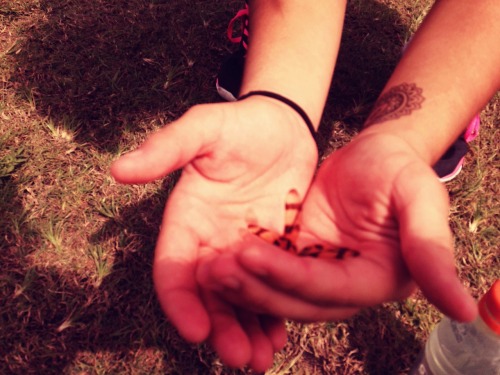 bbralejandra.tumblr.com/post/63670966931/