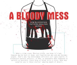 spineye:  amandaonwriting:  Bloodstain Pattern Analysis (BPA) - Resource for Crime Writers SOURCE  well you never know when this might come in handy. 