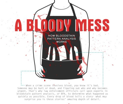 amandaonwriting:Bloodstain Pattern Analysis (BPA) - Resource for Crime WritersSOURCE