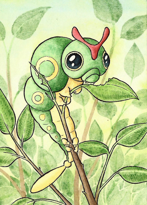 Were Out Of Starters And Into The Early Wild Pokmon! I Loved This Set Because Even Caterpie Has A Surprisingly