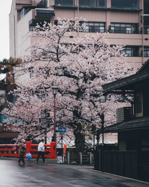 takashiyasui: Hida Takayama