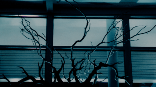 The Guardian, 1990, dir. William Friedkin.