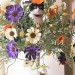 recklesslyinfatuated:catasters:Pick of the bunch.