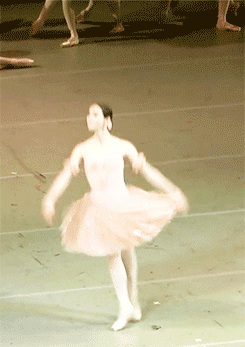 petit-fouette:vaganovaboy:  SHE IS A PERFECT DULCINEA  I can’t even handle how gorgeous her dancing is. She’s like a dream.