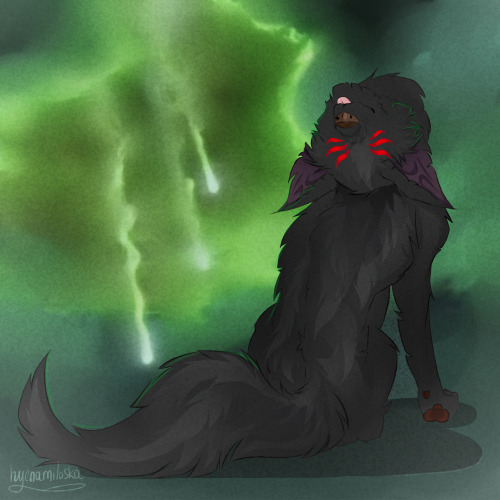 I Think Sometimes Solas Just-
