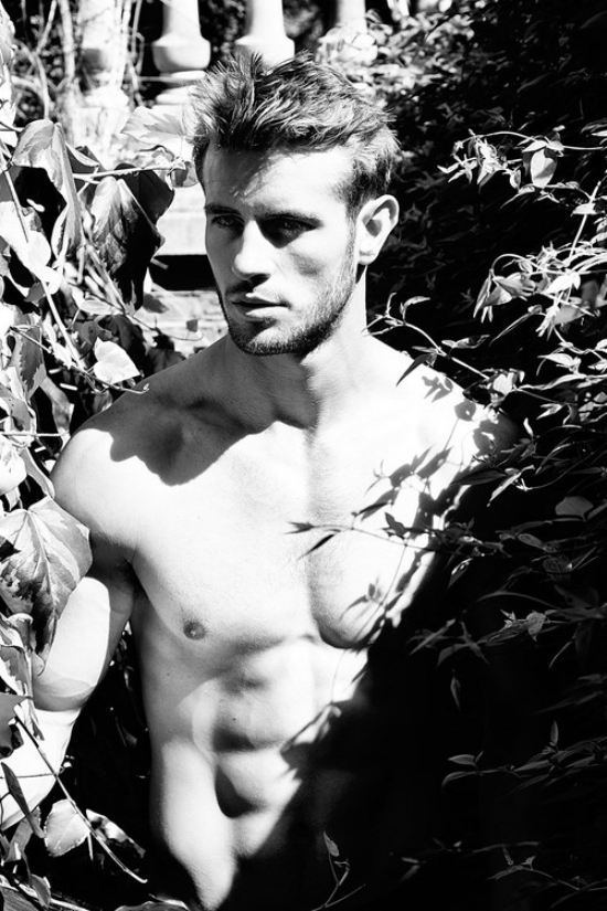 malemayhem:    