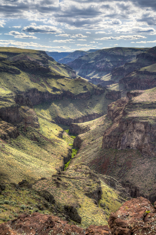 americasgreatoutdoors: #FindYourWay to deep canyons and truly wild streams along the Little Jacks Cr