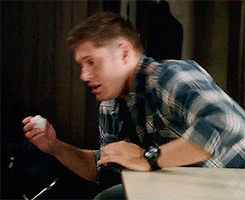 theladyasha:  I think… you might be a dog. 