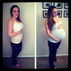 Pregnant Bellies