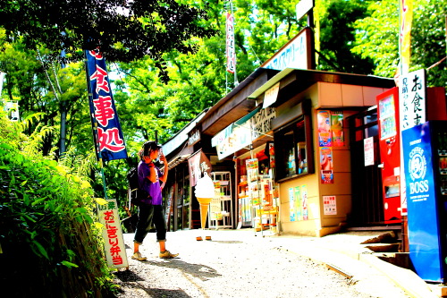 20130603高尾山友人がオフだというので行ってきた。二人だったのでゆっくり写真など撮れてよかったです。今回はすべて現像してみた。色音痴だからつい彩度とかコントラスト上げすぎちゃう。