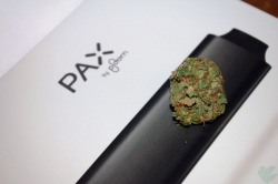 weedporndaily:  ready to pax