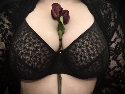 lustdotexe:Be the Gomez to my Morticia, mon cher? 🥀Feel free to reblog