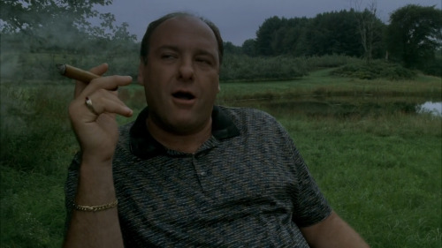 fyeahthesopranos