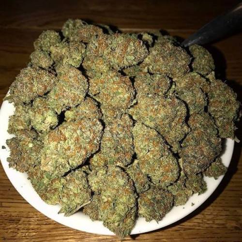 weedstreetwear: Whats an ounce of fire go for where you live?