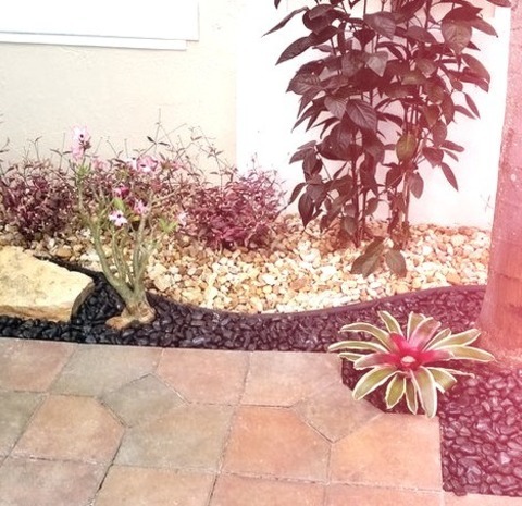 Tropical Landscape - Front Yard