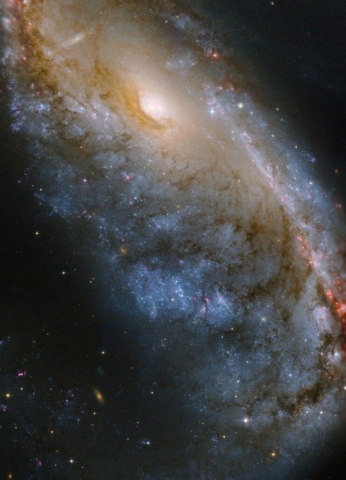 Object Name: NGC 2442 