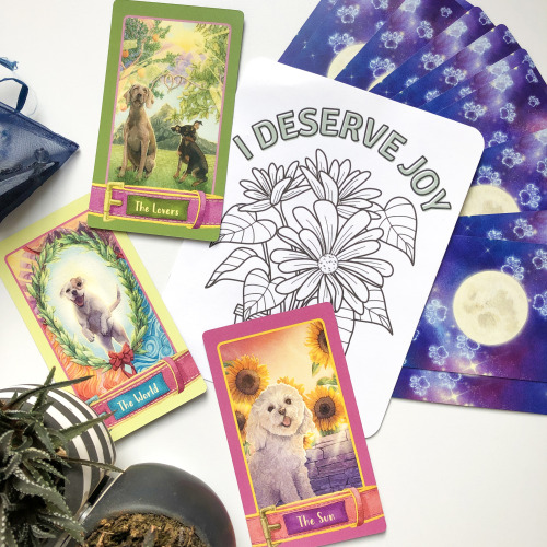 The Barkana is meant to be a joyous and gentle tarot deck. Dogs are a light in our lives and this de