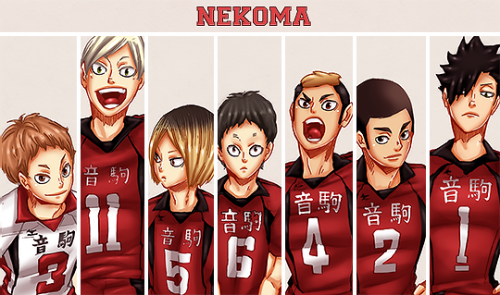 tartatail: Haikyuu Teams + Start Line-Up