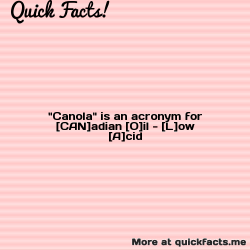 dailycoolfacts:  Quick Fact: “Canola” is an acronym for [CAN]adian il – ow [A]cid.Ref:… | For more info about this fact visit: https://ift.tt/2LrbUmh