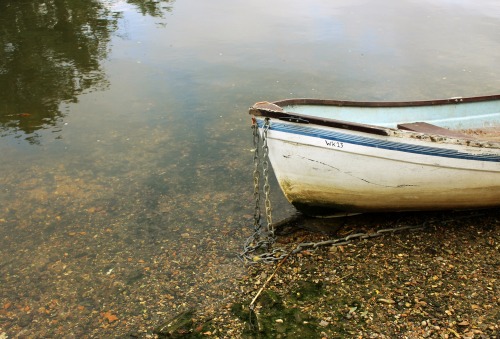 jimpatersonphotography: The month so far - Dorset, June 2015.©  Jim Paterson - All ri