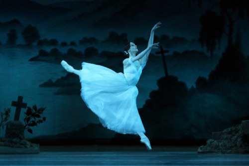 galina-ulanova:Nadezhda Batoeva as Giselle in Giselle (Mariinsky Ballet)