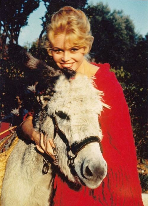 Brigitte Bardot with various animals.