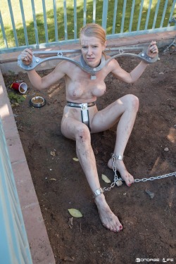 ginaboundlife:  The lovely Greyhound in chastity and chains! Visit her site to see her in bondage EVERY DAY of her life! https://www.bondagelife.com?aid=117282