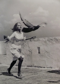 Virna Lisi ~Casanova ‘70, 1965
