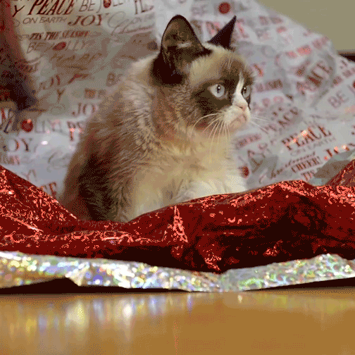 happyholidaycats.com