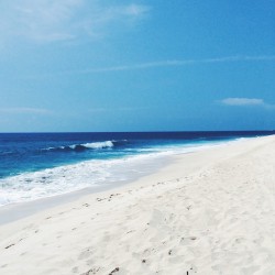 the-ocean-paradise:  pure ocean