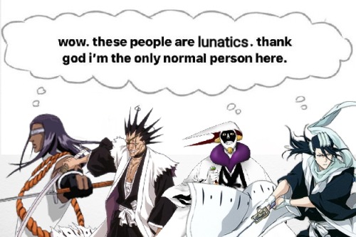 Average Day In Seiretei