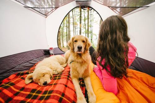 peachypeacherson:  My last minute entry into @bassproshops #FlannelFest contest. Work kept me from exploring this weekend so a throwback to our last camping trip. Koa passed out after kayaking while Aspen wanted to swim more. #campingwithdogs #ourcamplife