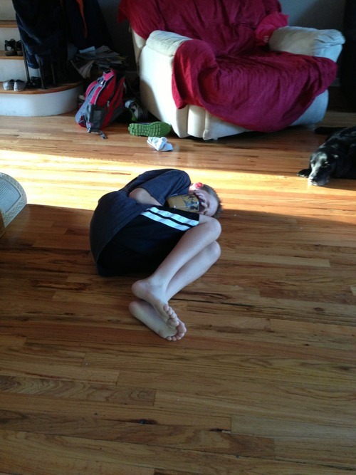 lizthefangirl:  drunkpeeta:  drunkpeeta:  drunkpeeta:  My brother just read the skippy