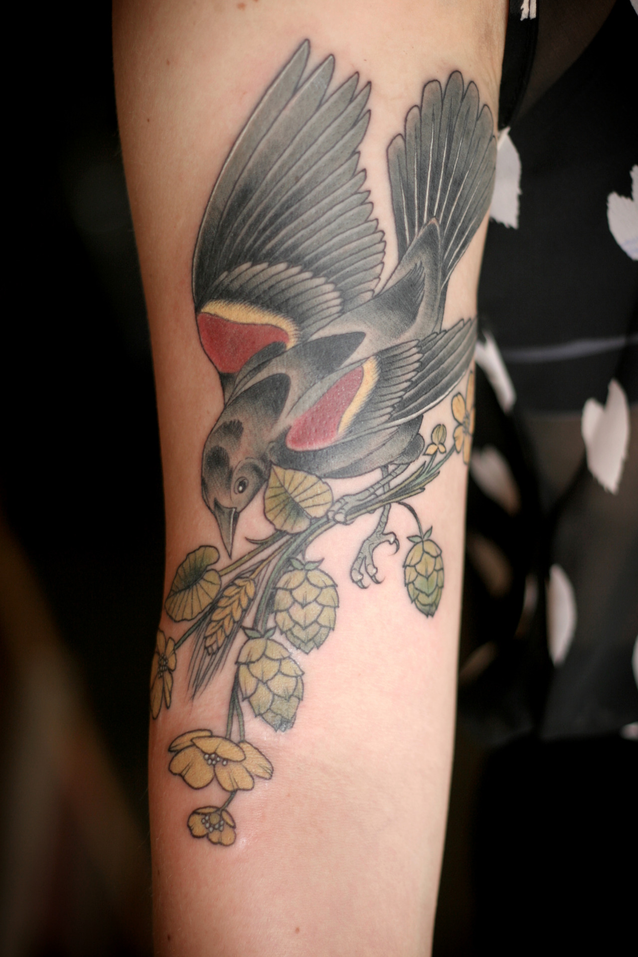 redwinged blackbird on corn stalk by Alice Kendall  Wonderland tattoo Black  bird tattoo Tattoos