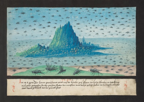 willigula:“In 1533, hundreds of dragons were reported to darken the skies over Bohemia, follow