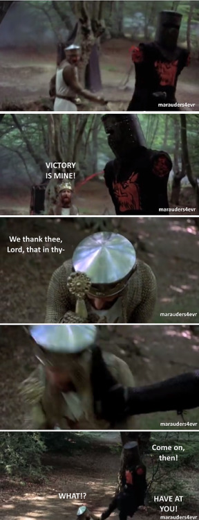 juicyj-caint:  rustlingpages:marauders4evr:It’s just a flesh wound.The single greatest scene in cinematic history.If you try to tell me you didn’t read those lines in those voices then you’re a LIAR  My favorite scene of any movie ever