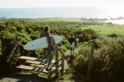 Surfing-In-Harmony:  🏄🏻