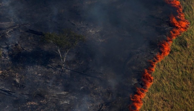 don-cosciotte:      So, our Lung is on fire.  It is already threatened by huge deforestation, to the point it lost 20% of its wildth in less than 30 years.  It’s been burning for around two weeks and almost no word has been uttered about it. I, sincerely,