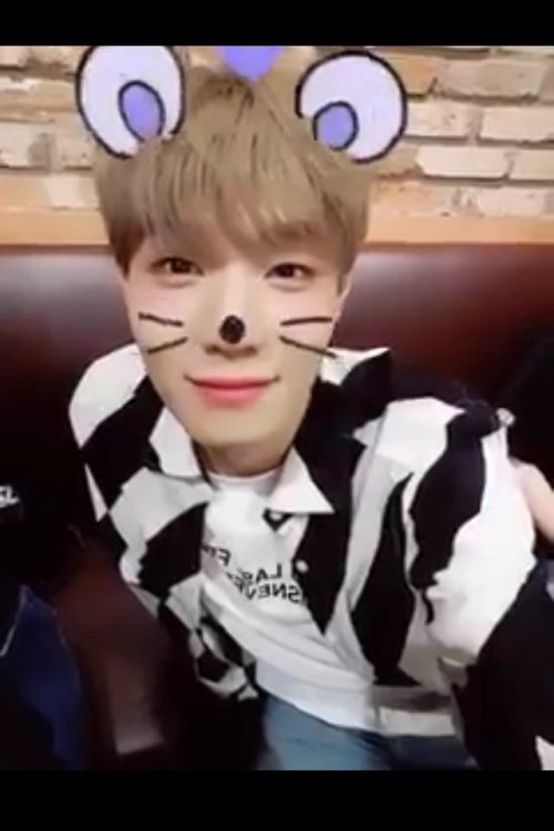 ーChulMouse is so cute ❤️ I want to adopt him