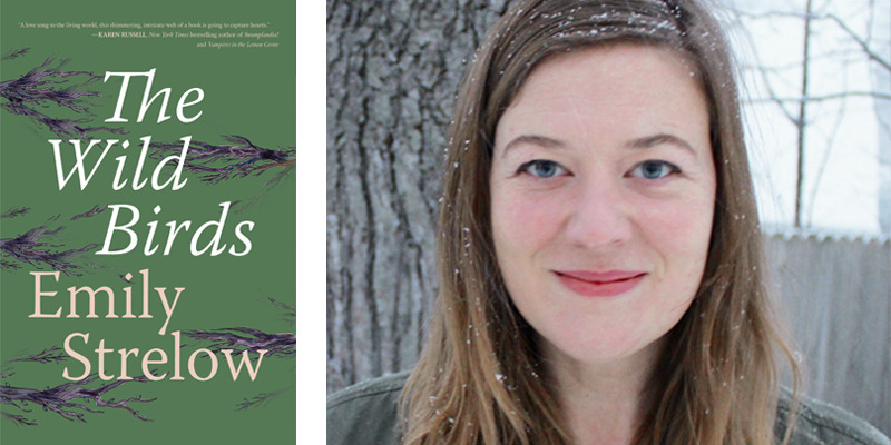 the wild birds emily strelow the wild birds emily strelow