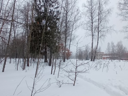 Well.. The 4th Day Of Spring, Huh